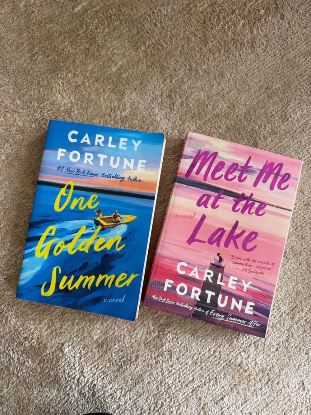 Book Bundle - Carley Fortune books